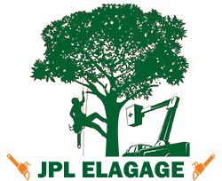 elagage-jpl-elagage